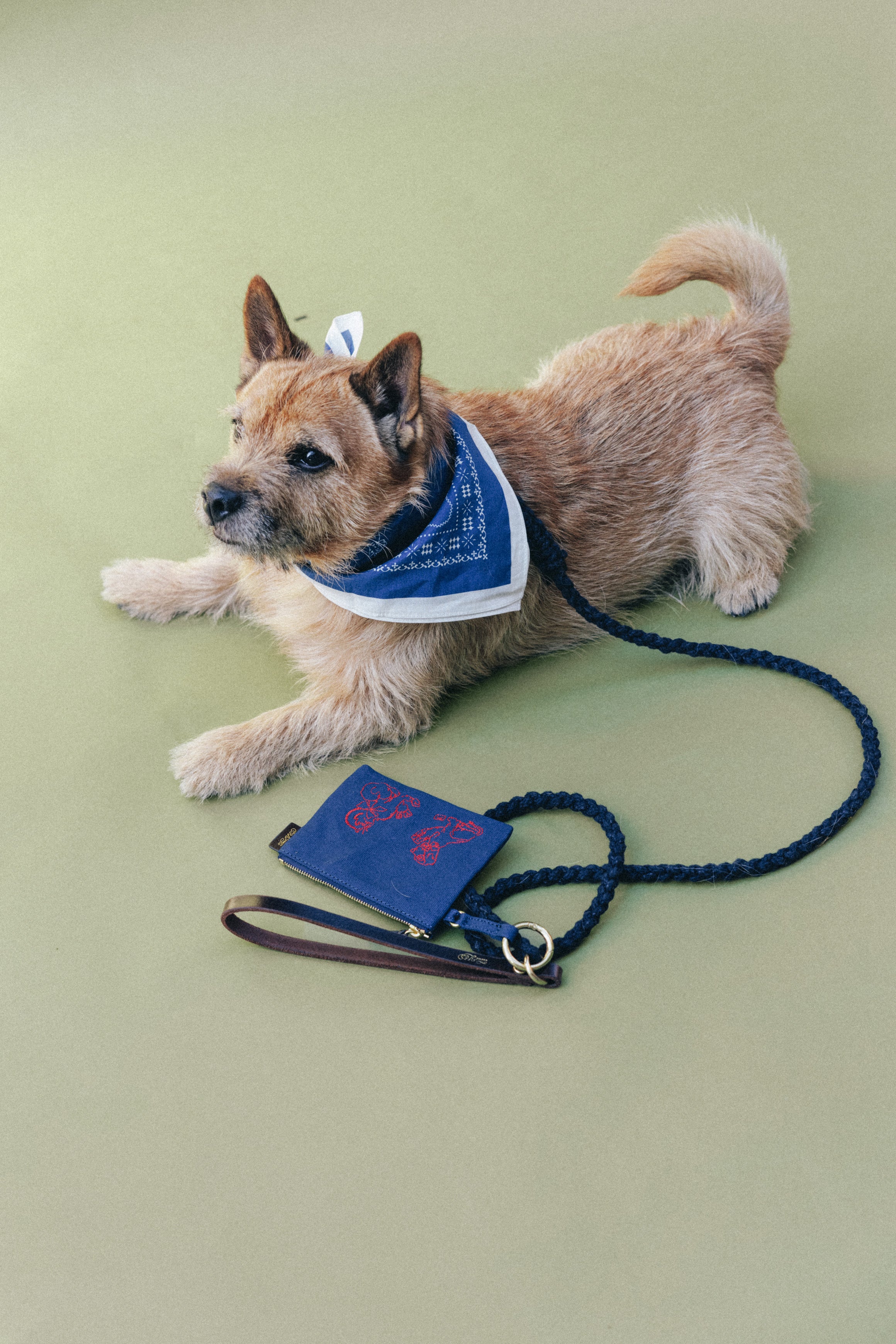 COMPAGNON BANDANA NAVY – TOUT Y EST JP
