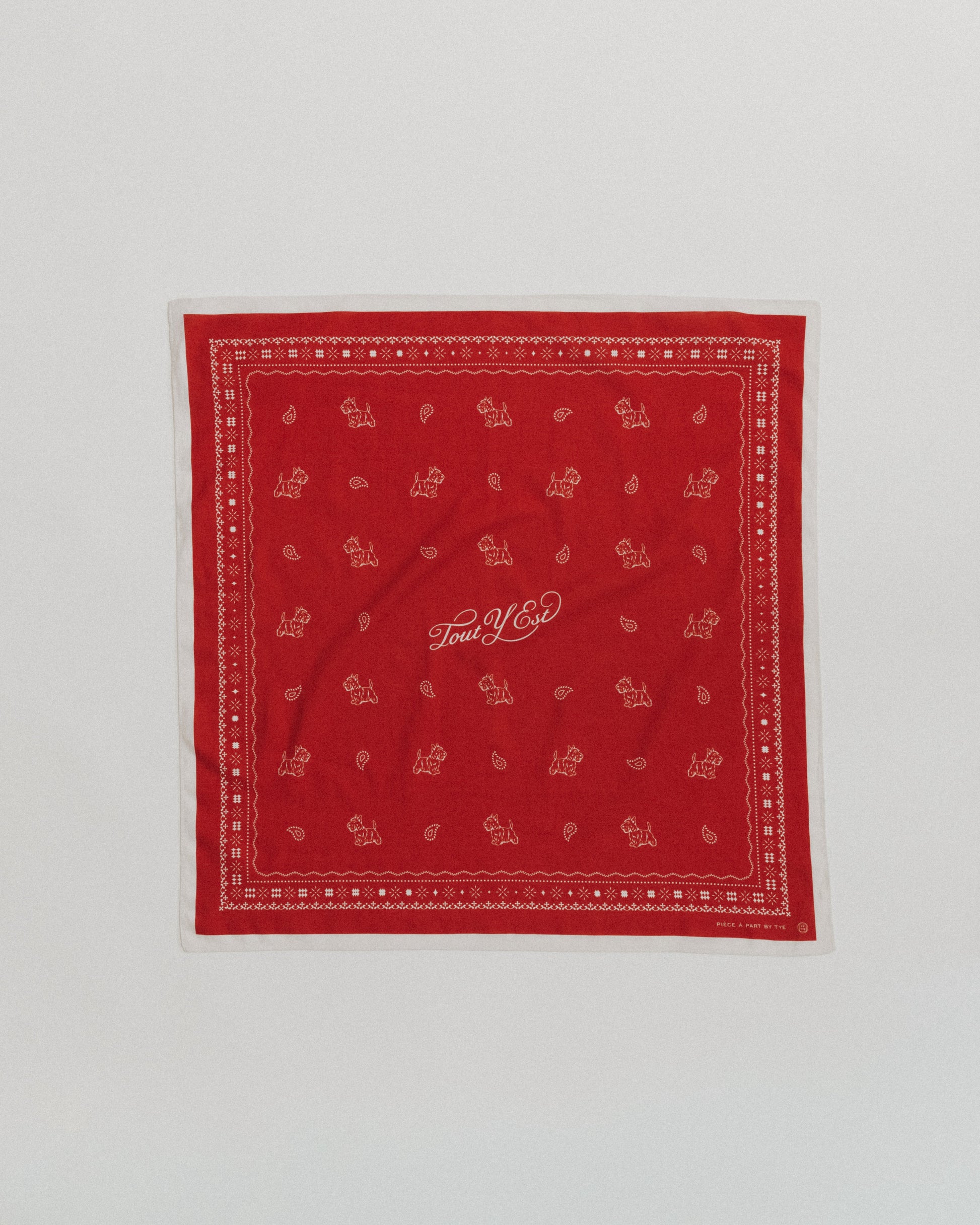 COMPAGNON BANDANA RED