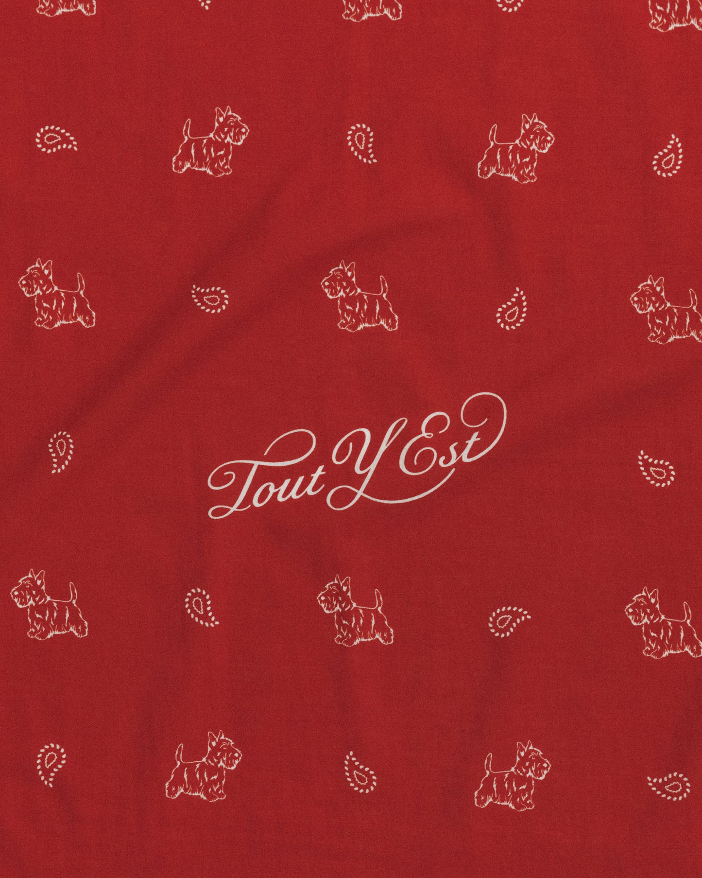 COMPAGNON BANDANA RED