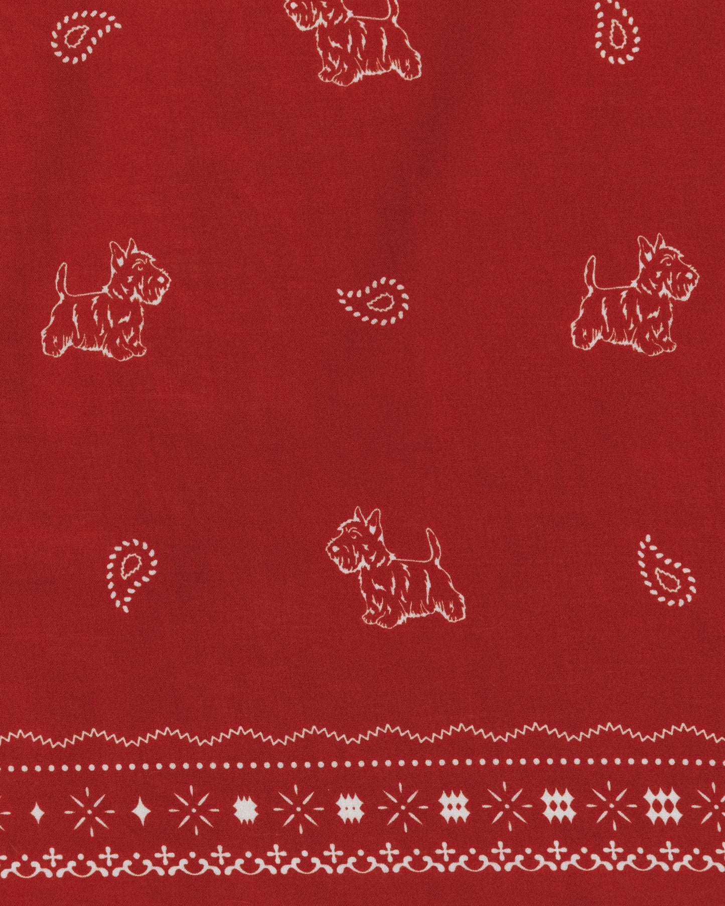 COMPAGNON BANDANA RED