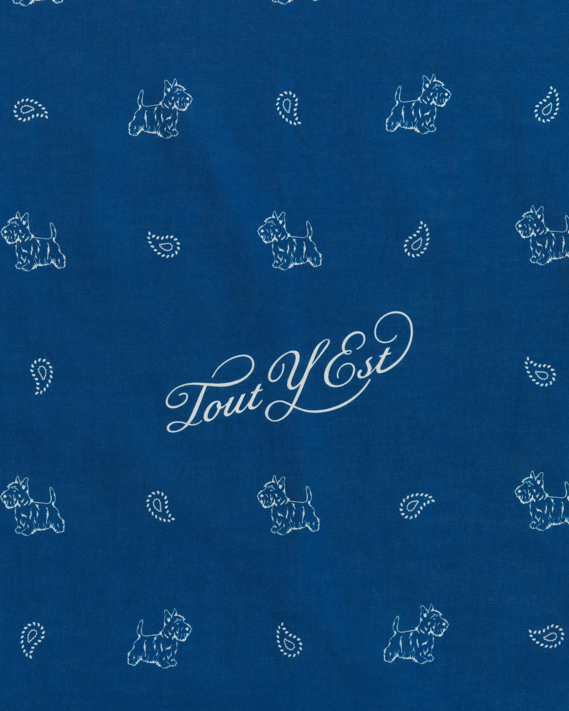 COMPAGNON BANDANA NAVY